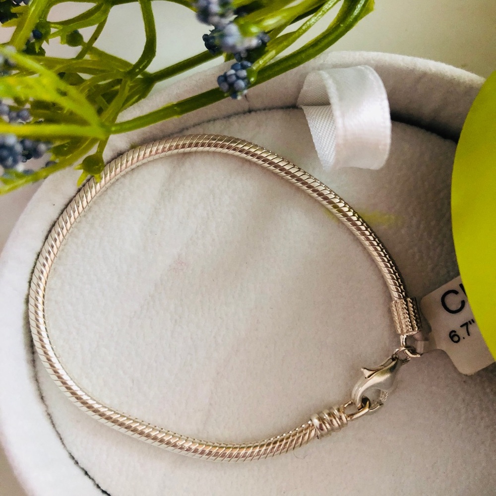Chamilia Sterling Bracelet with Lime Green Jewelry Box 6.7 inches - Picture 8 of 12